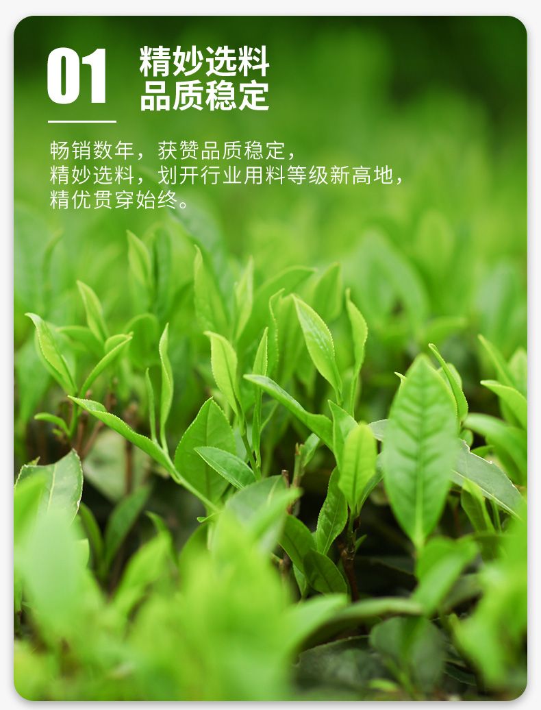 1000g China Tea AnHua Black Tea 中茶茶叶湖南安化黑茶润黑手筑